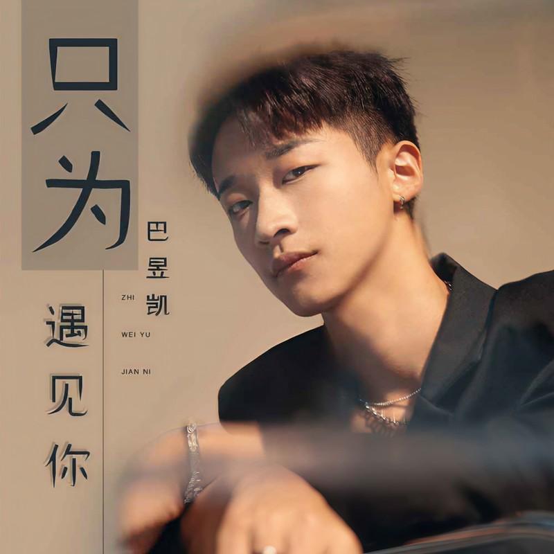 只为遇见你 (伴奏)封面