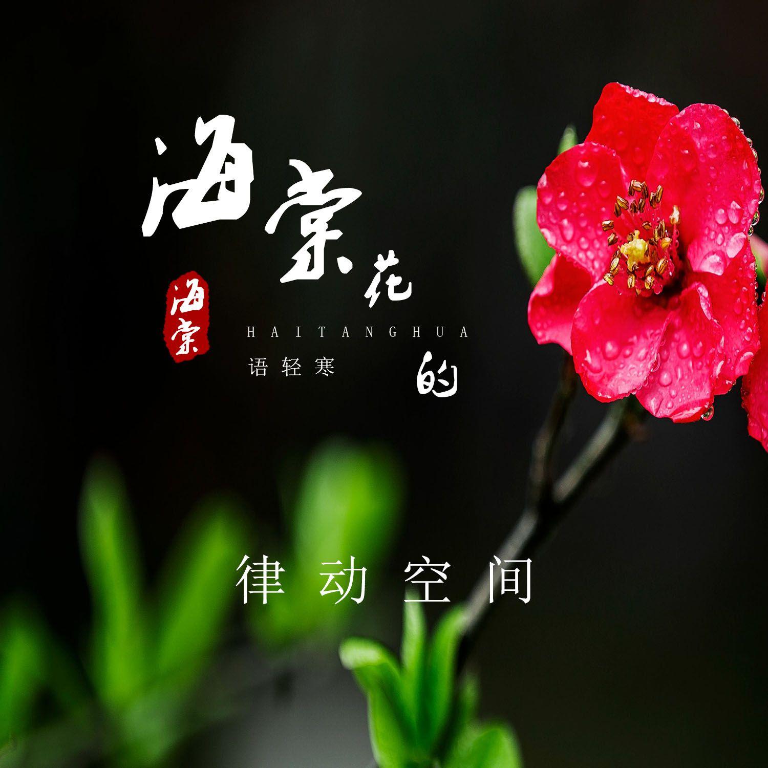 海棠花的语轻寒封面