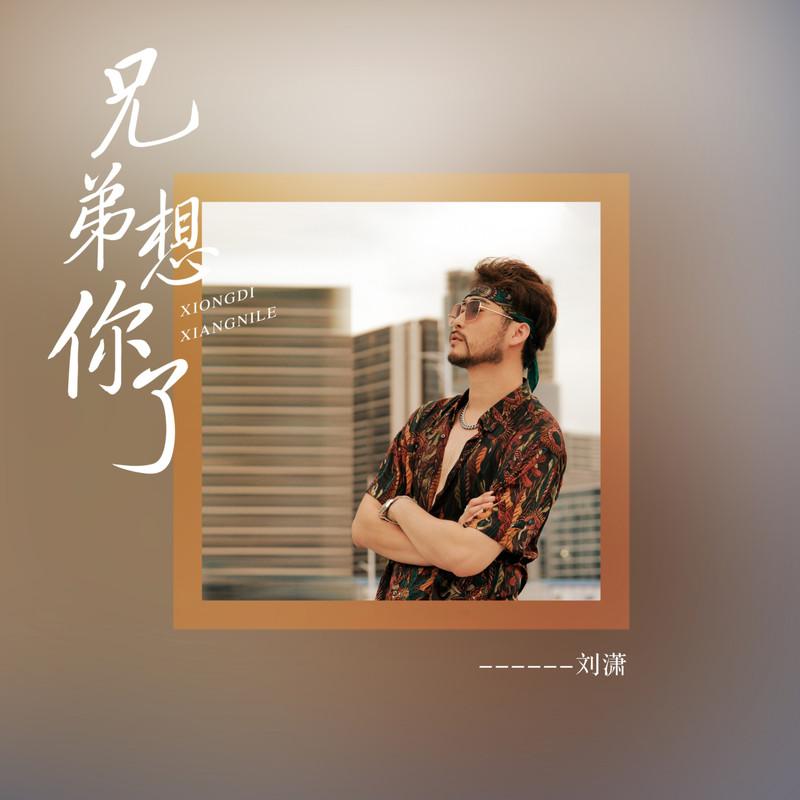 兄弟想你了封面