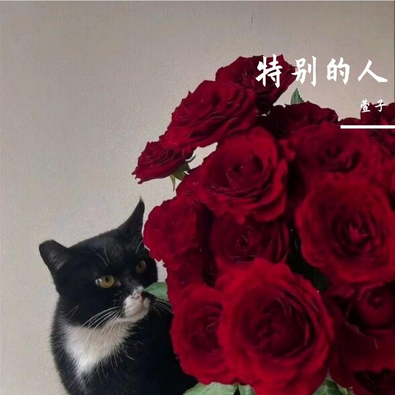 特别的人(翻唱)