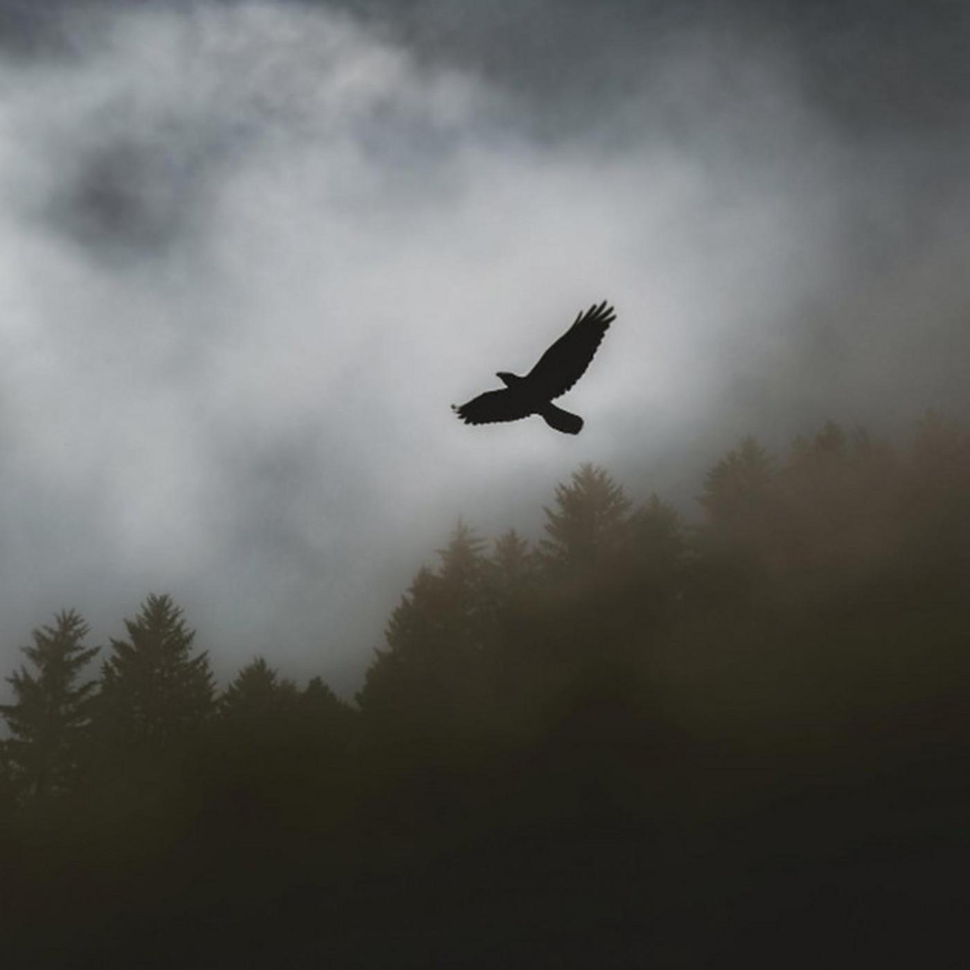 Gallowdance - Slowed