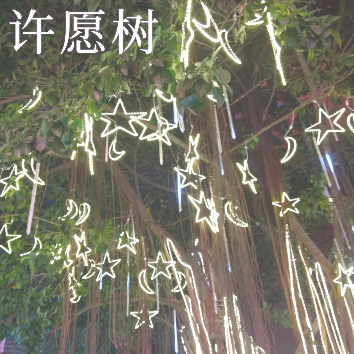 许愿树封面