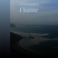 Economics Flume