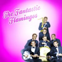 The Fantastic Flamingos