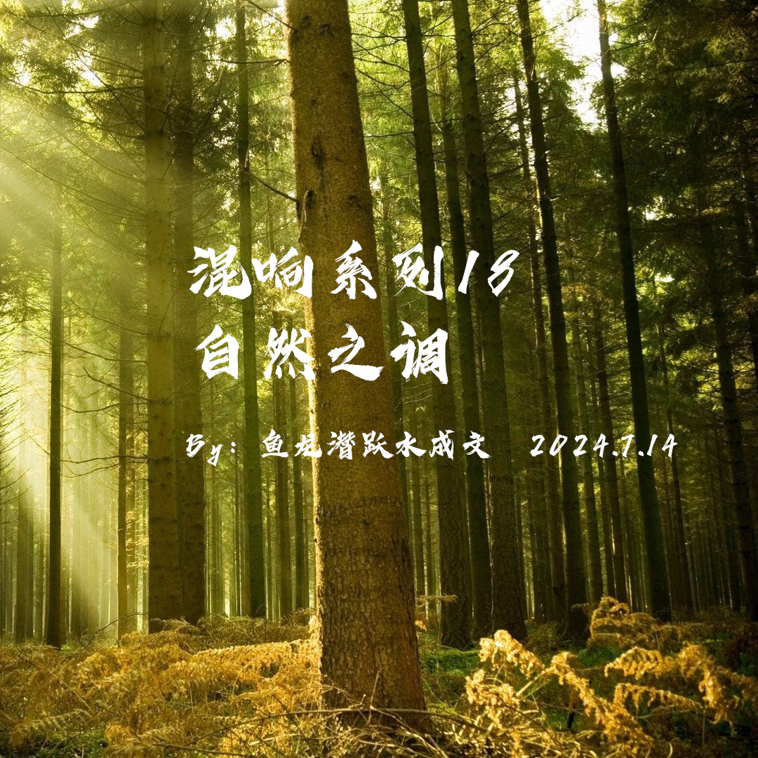 瞬间的永恒钢琴曲(自然混响)封面