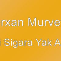 Orxan Mürvetli