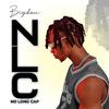 BigDan - NLC