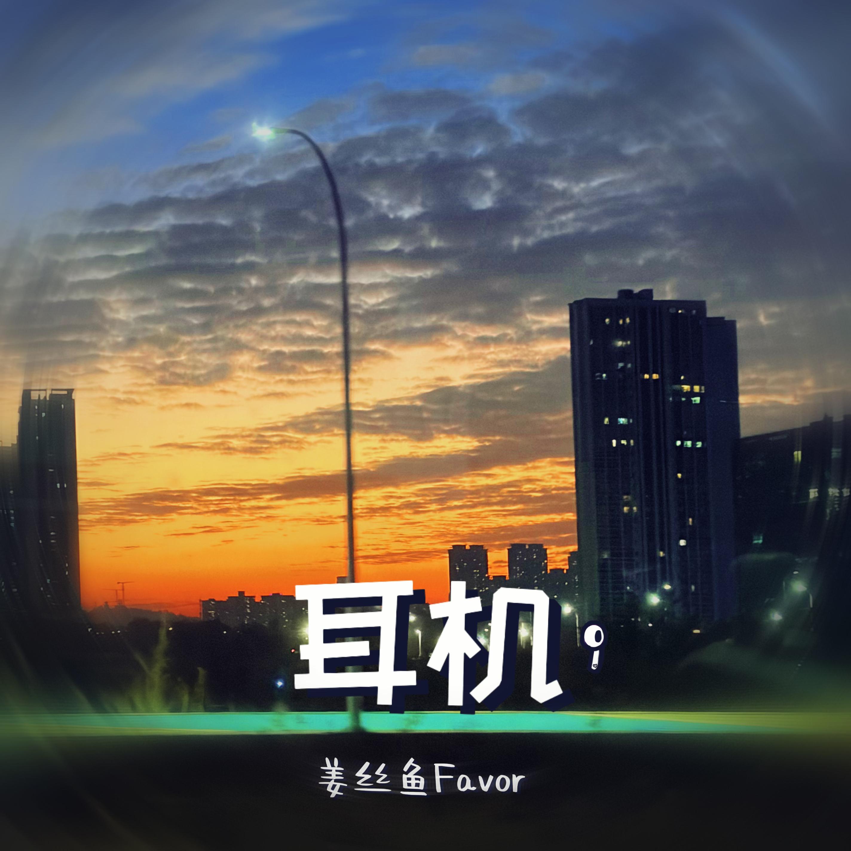 耳机（伴奏）封面