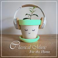 Classical Music for the Home: Schubert