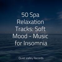 50 Spa Relaxation Tracks: Soft Mood - Music for Insomnia