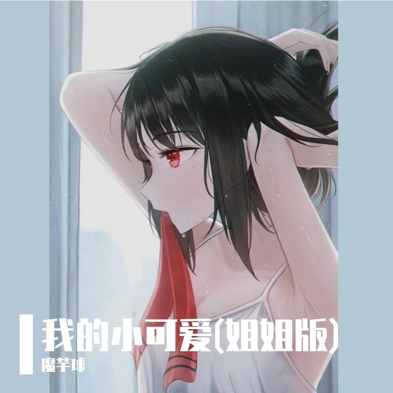 我的小可爱(姐姐版)封面