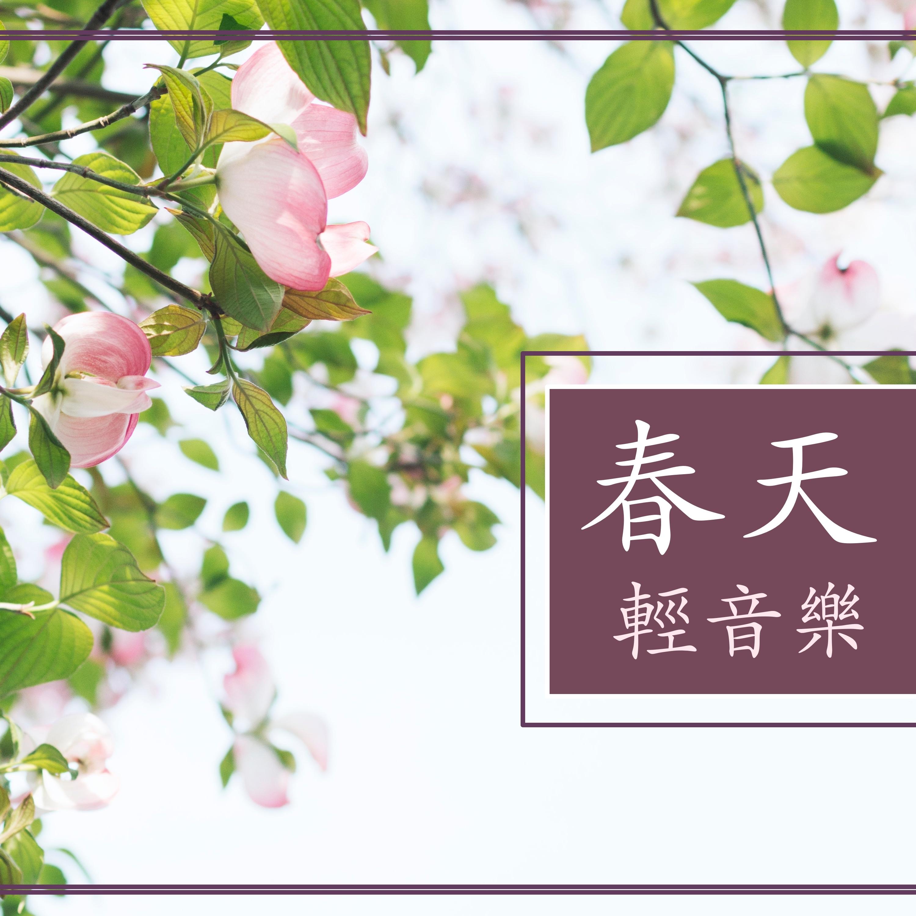 美麗的春天封面