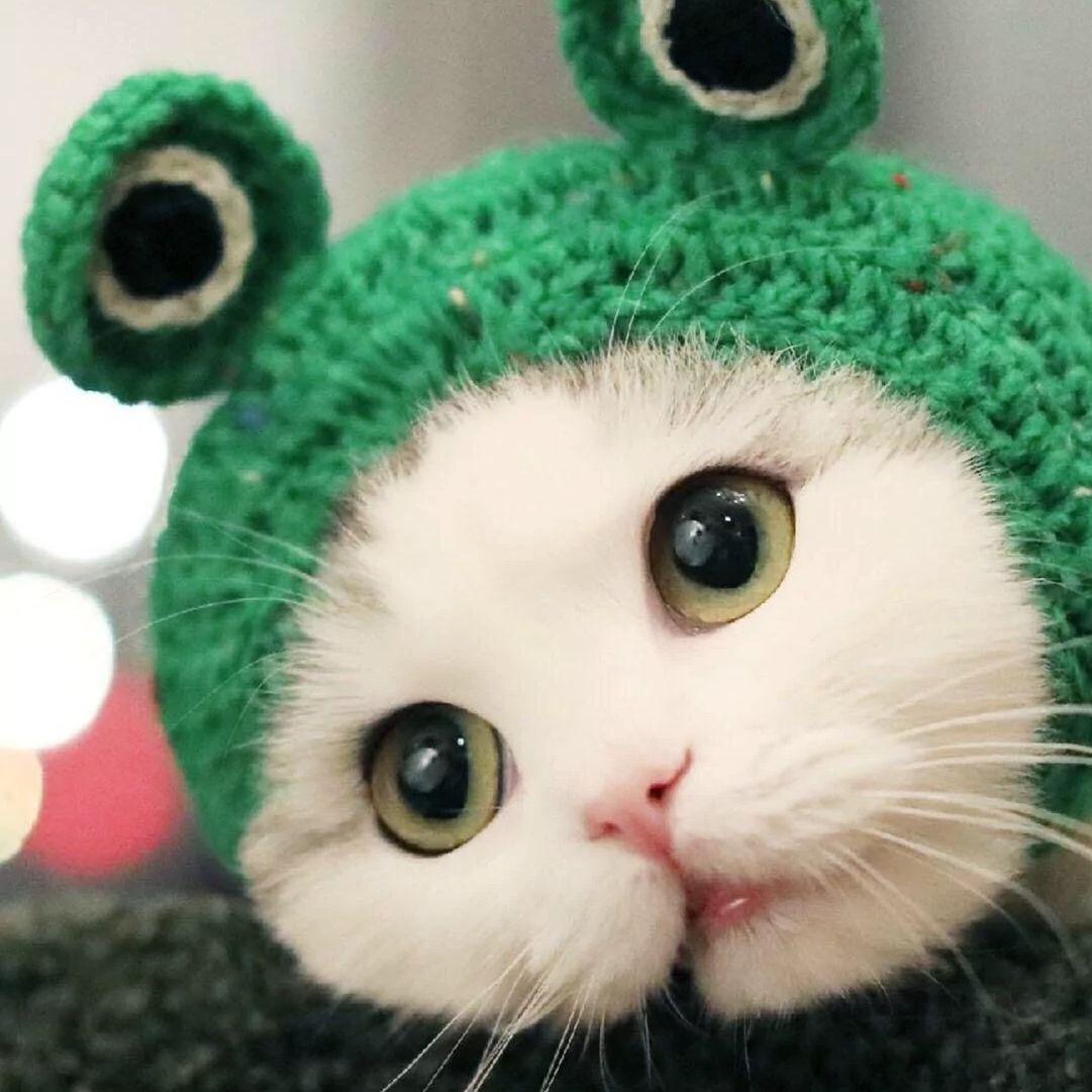 刘大拿-兄妹（0.85x变速降调）