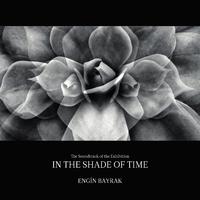 In The Shade of Time (Original Exhibition Music)