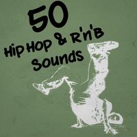 50 Hip Hop & R'n'B Sounds