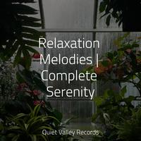 Relaxation Melodies | Complete Serenity