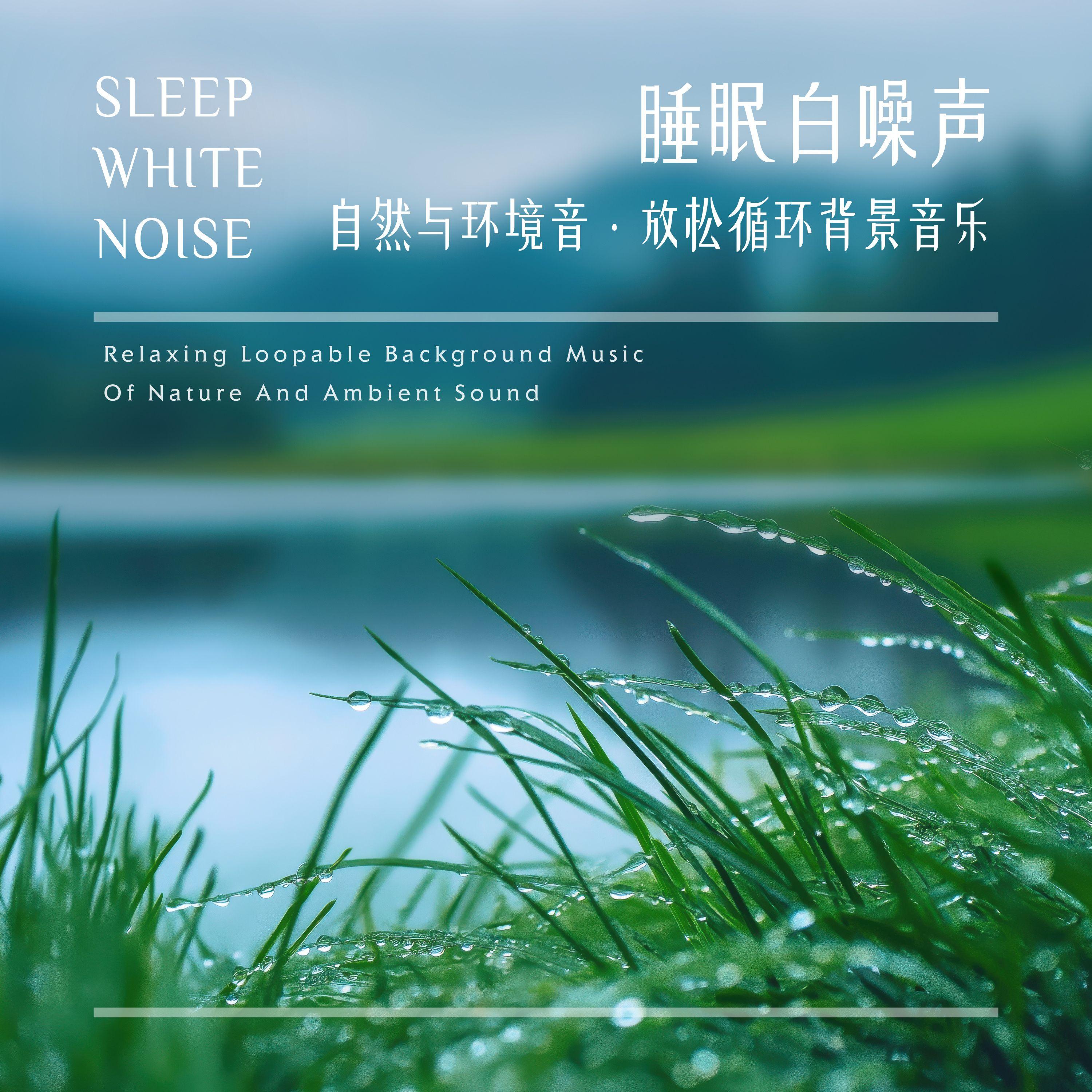 胎音(纯音效) (Heartbeat)封面