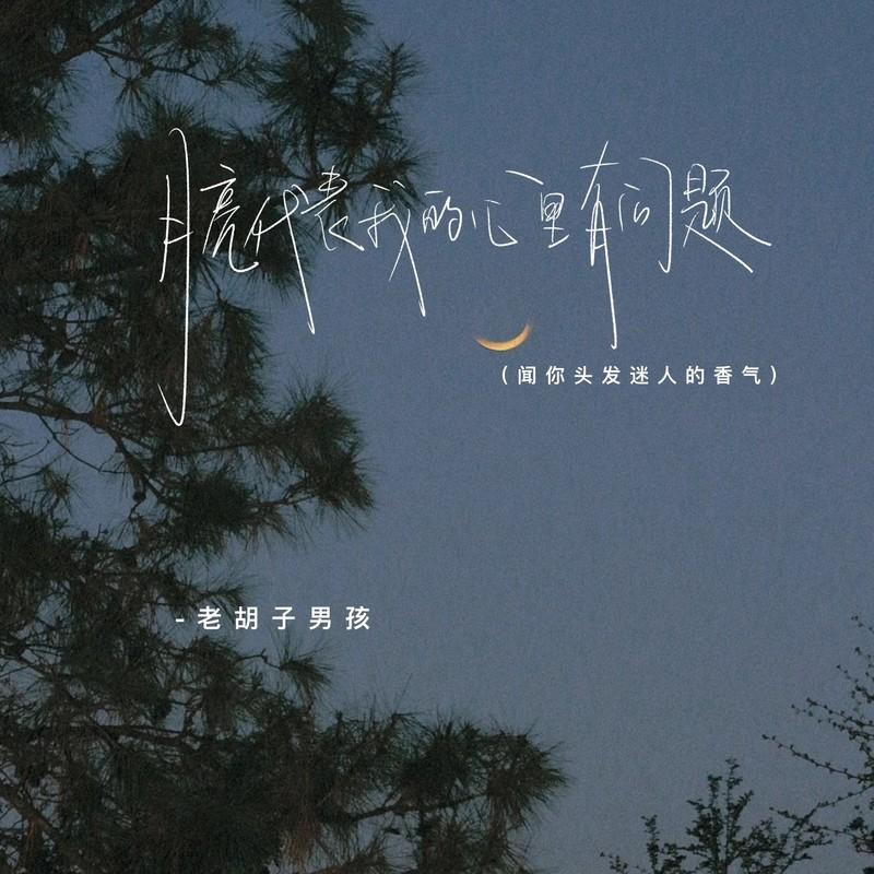 月亮代表我的心里有问题 (闻你头发迷人的香气伴奏)封面