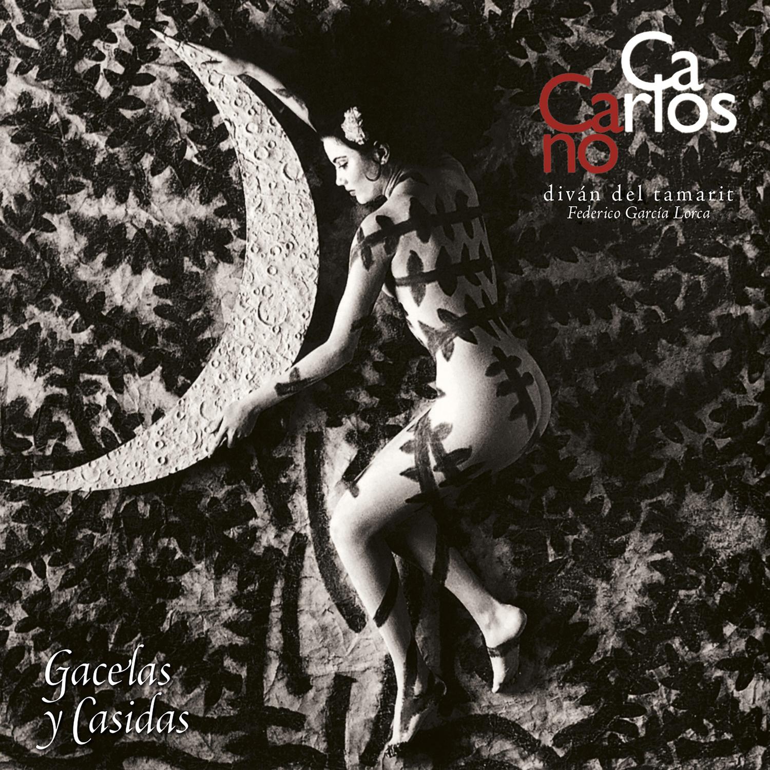 Casida de las Palomas Oscuras