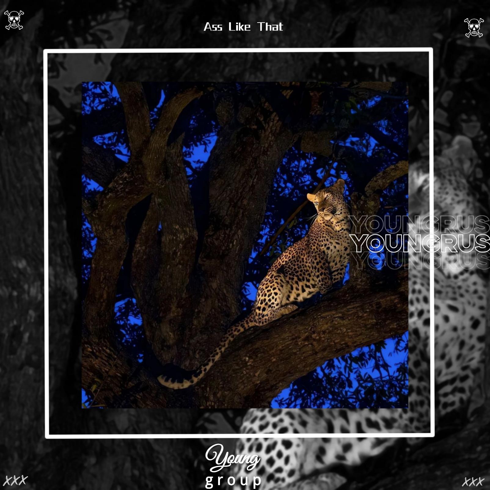 ᴀss ʟɪᴋᴇ ᴛʜᴀᴛ