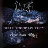 Don't Tread My Toes 432Hz (feat. Bailezzey)