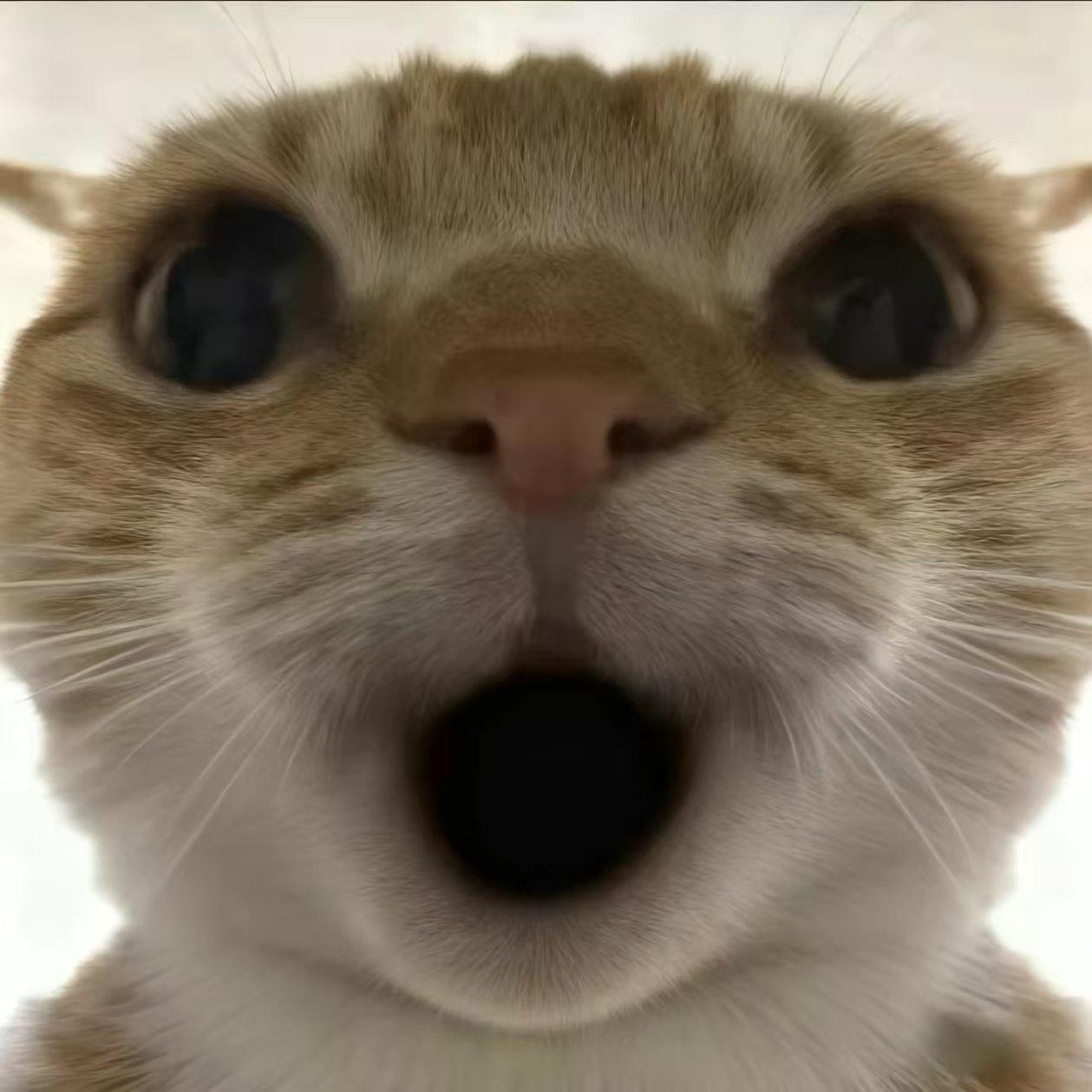 哈基米（进行曲）