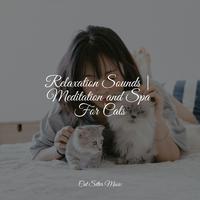 Relaxation Sounds | Meditation and Spa For Cats