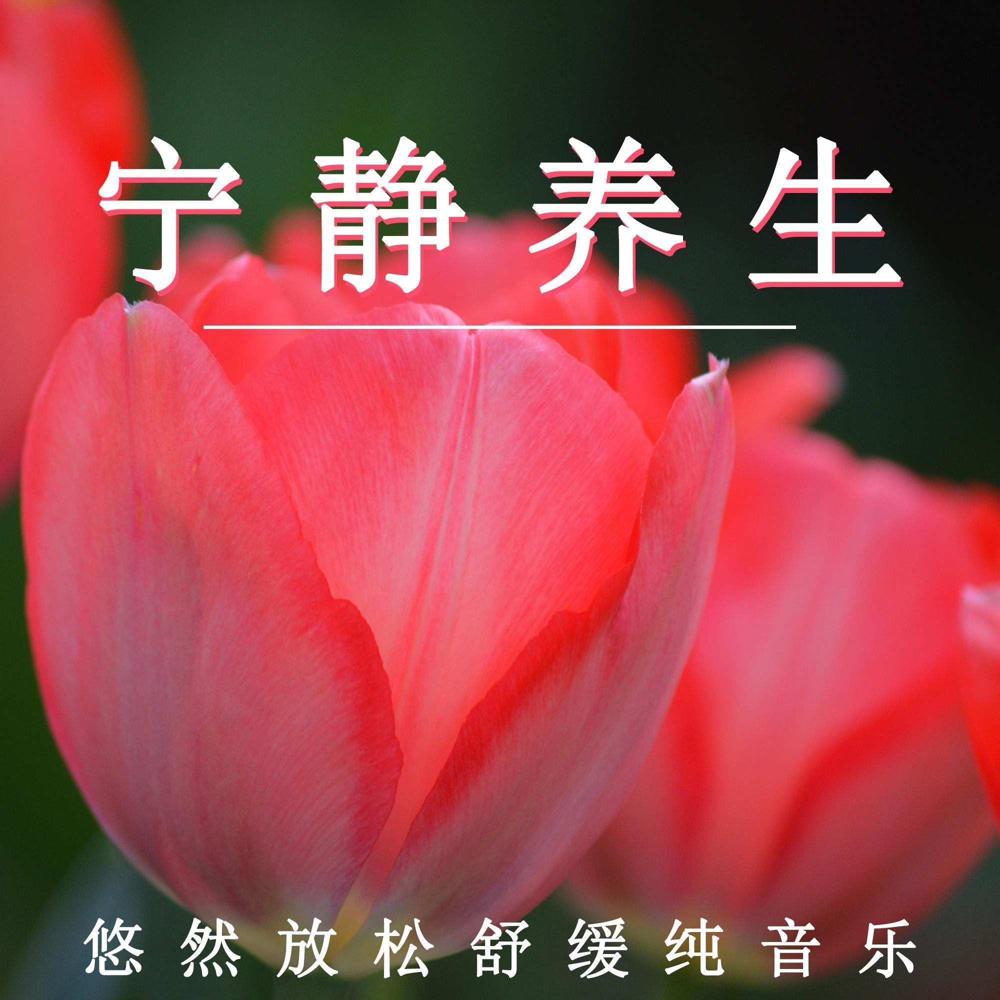 轻风拂面（轻音乐） - 轻松治愈封面