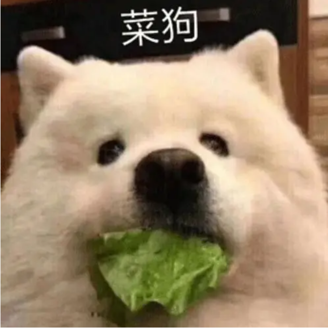 不想懂得(翻张韶涵)封面