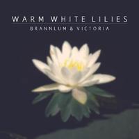 Warm White Lilies