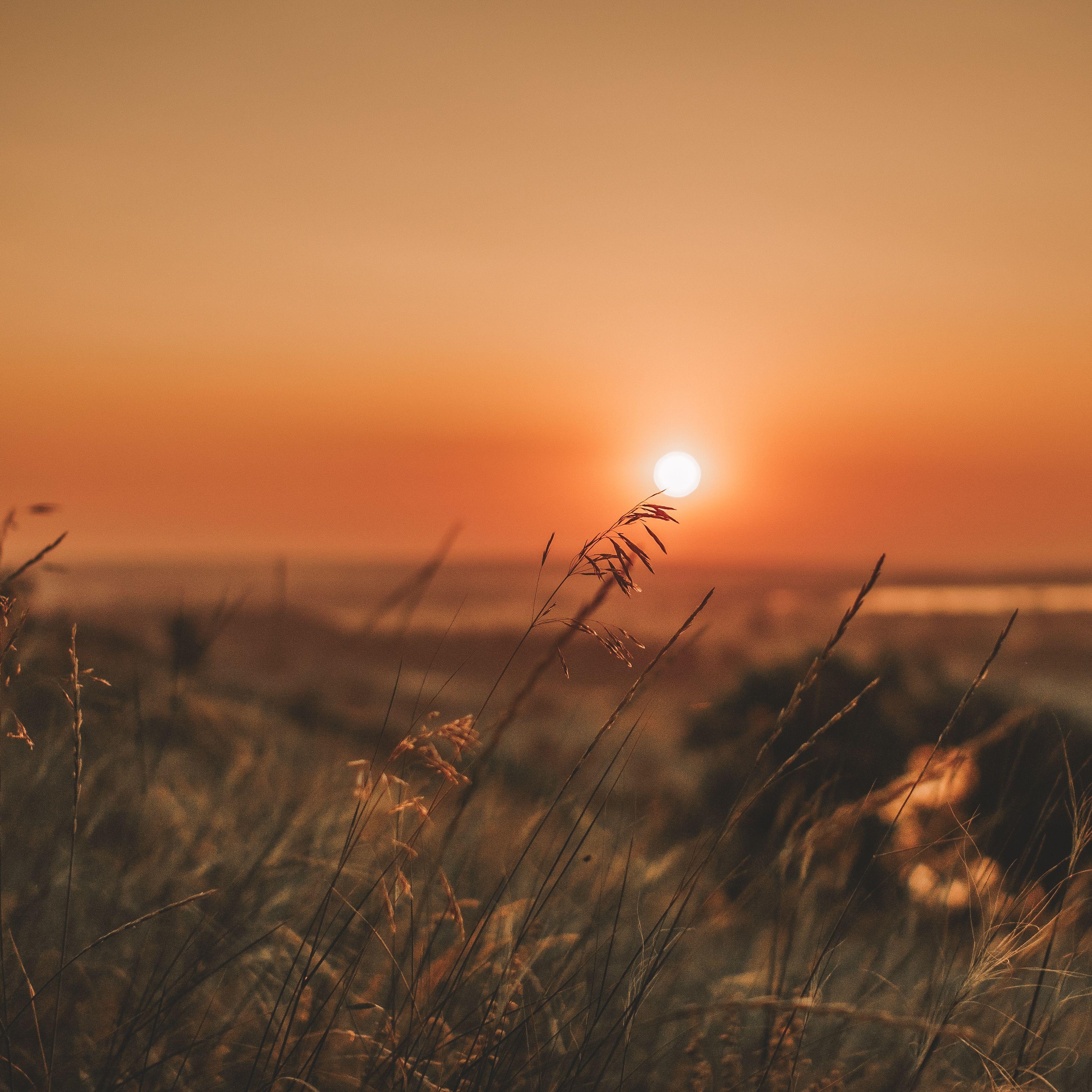 My Heart Will Go On 2.0