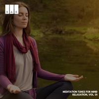 Meditation Tunes for Mind Relaxation, Vol. 01