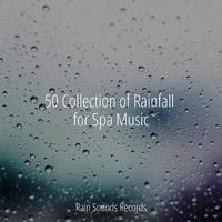 50 Collection of Rainfall for Spa Music