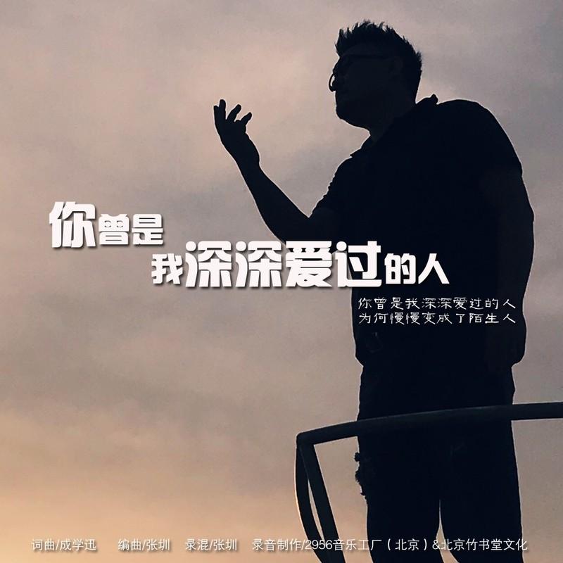 你曾是我深深爱过的人 (伴奏)封面
