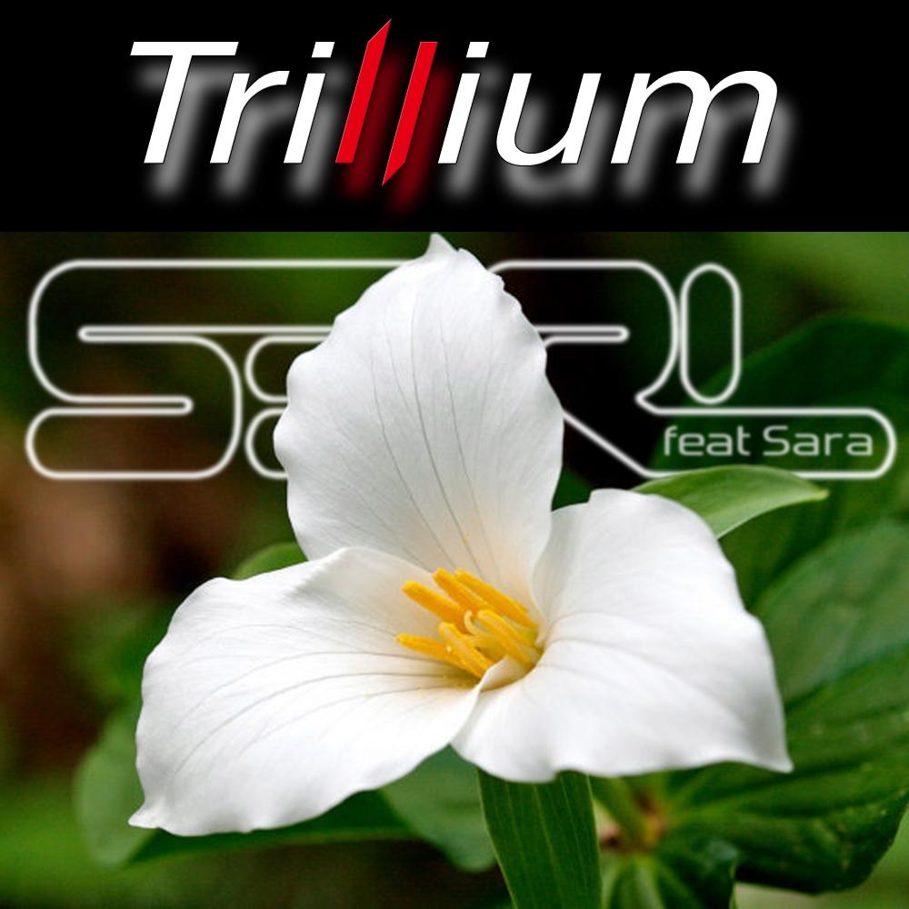 Trillium (DJ Edit)_S3RL_Trillium | 在线播放_Trillium (DJ Edit)歌词_Trillium (DJ Edit)下载 | 网易云音乐
