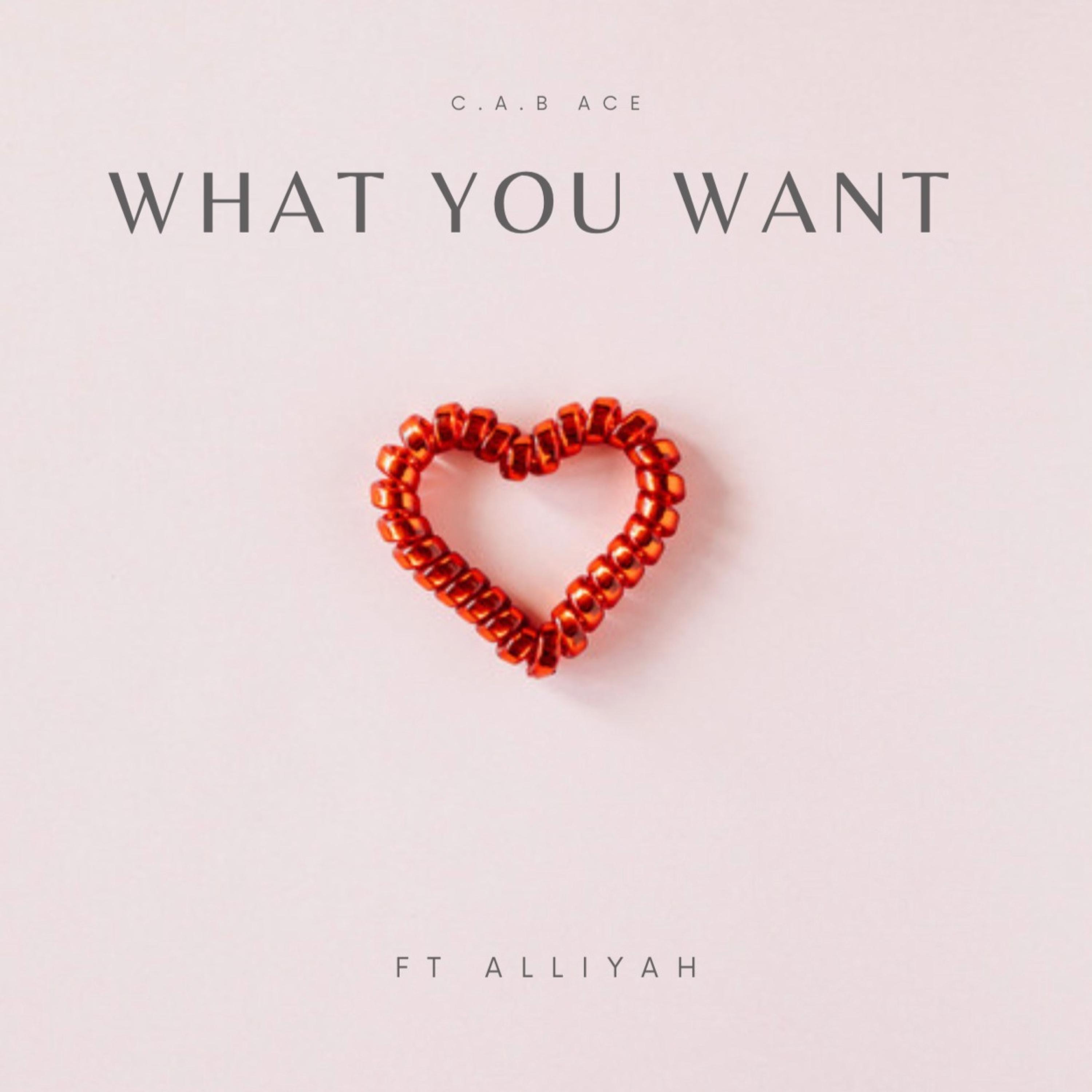 What You Want (feat. Alliyah)