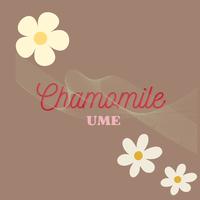 Chamomile