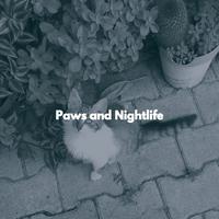 Paws and Nightlife