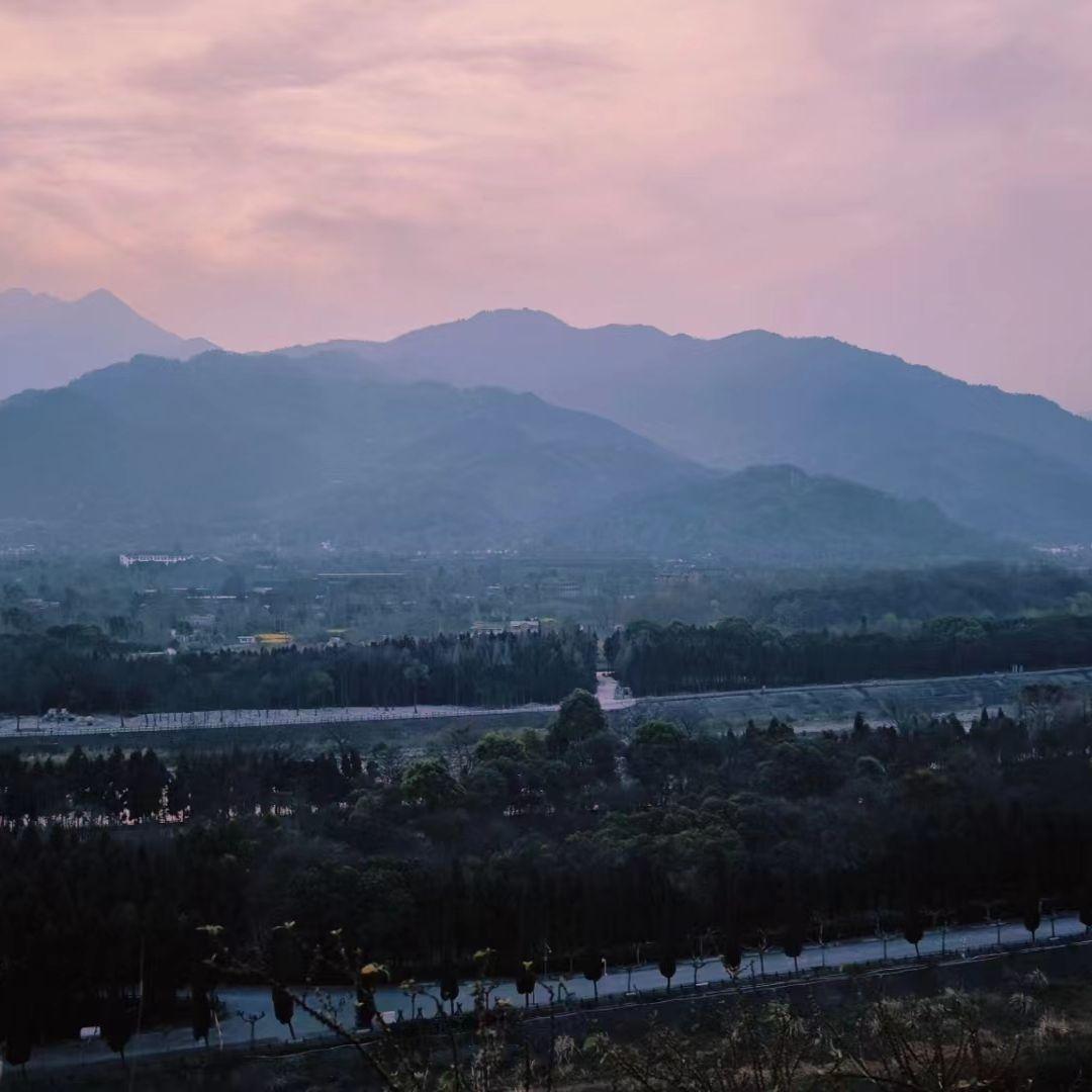 景