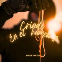 Criado en el Hampa 2