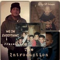 The Introduction: Chapter One