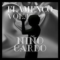 Flamenco: Niño Ricardo Vol.1