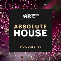 Nothing But... Absolute House, Vol. 13