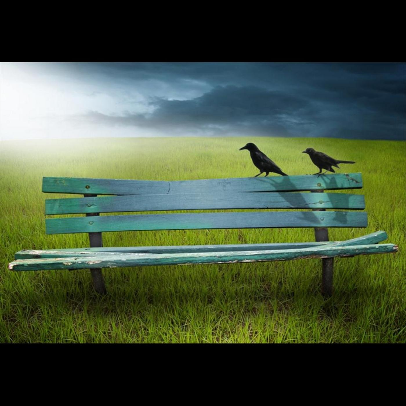 I Will Still Love You