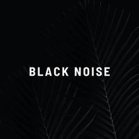 Black Noise