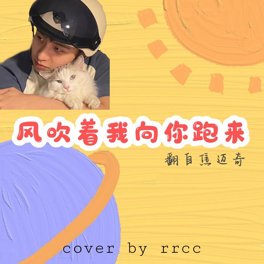 风吹着我向你跑来封面