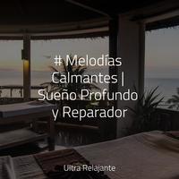 # Melodías Calmantes | Sueño Profundo y Reparador