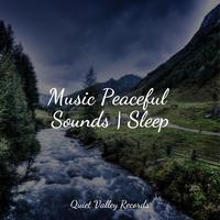 Music Peaceful Sounds | Sleep