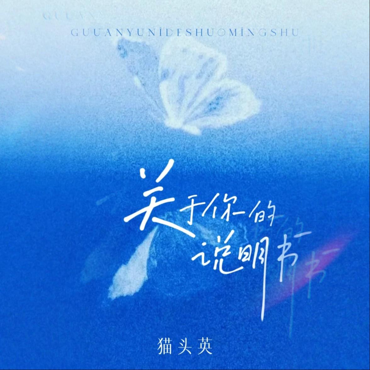 关于你的说明书封面