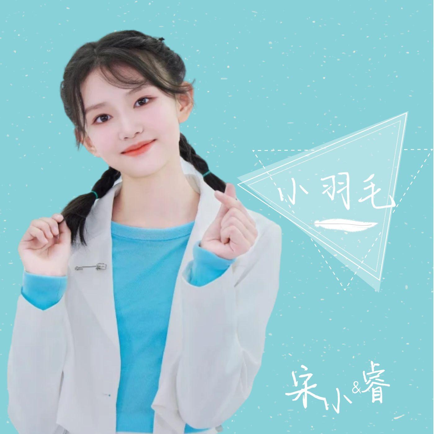 小羽毛 (伴奏)封面
